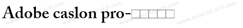 Adobe caslon pro字体转换